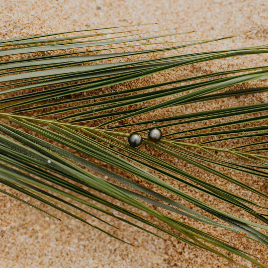 Tahitian Pearl Studs