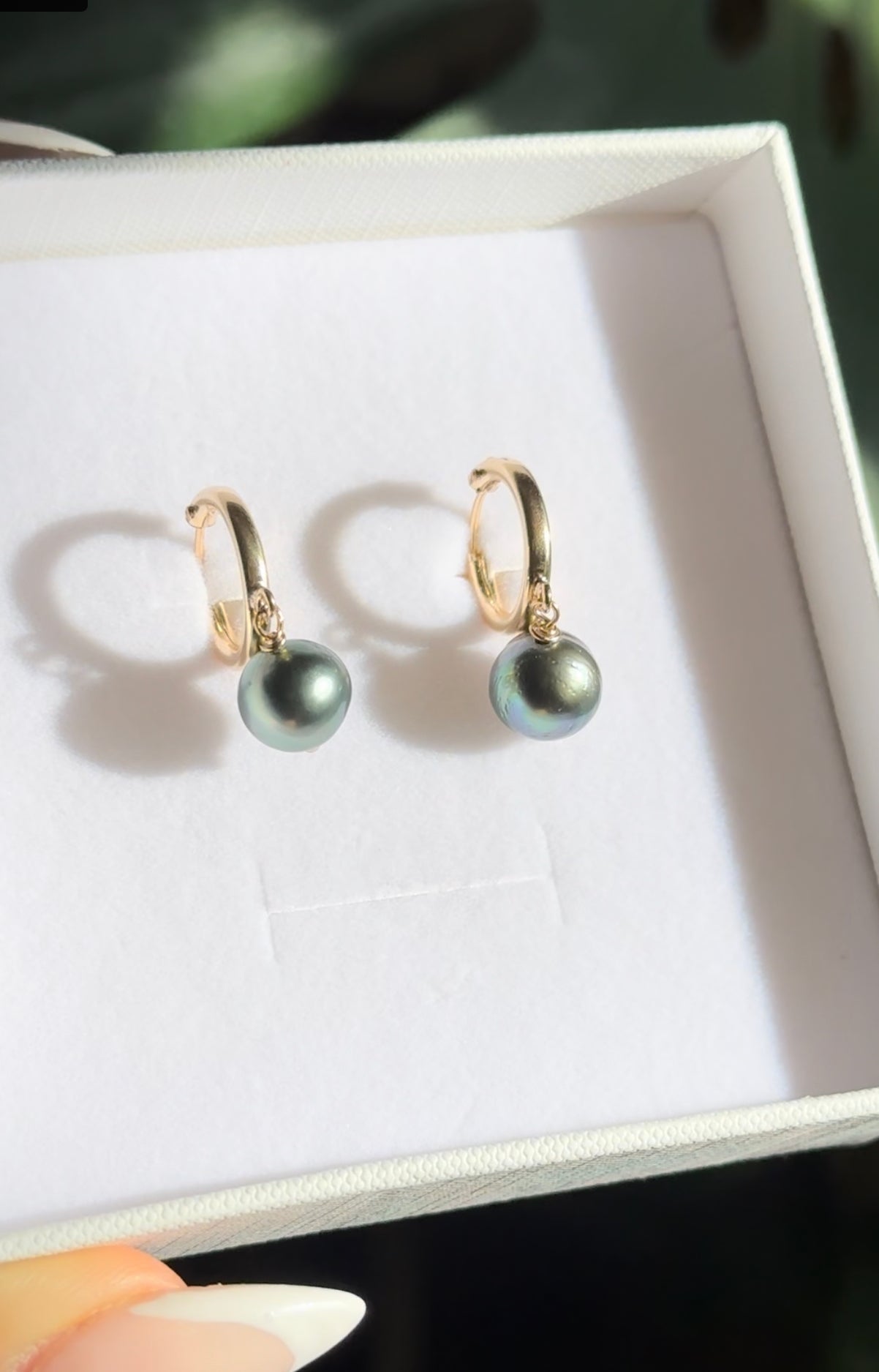 Tahitian Pearl huggie earrings